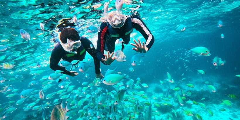Bohol Dolphin Watching, Balicasag, and Virgin Island Tour - Balicasag Island snorkeling: reefs, turtles, and the sun factor