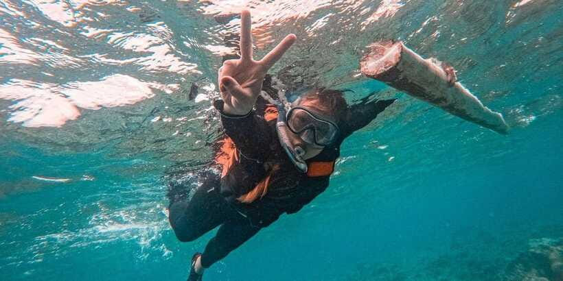 Bohol Dolphin Watching, Balicasag, and Virgin Island Tour - Virgin Island sandbar: reopening timing and what to do if it is not on your day