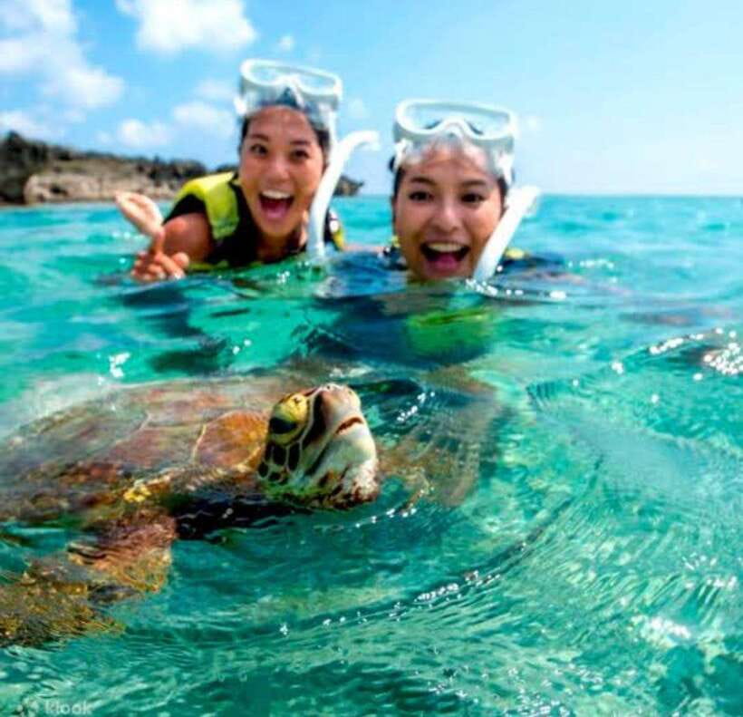 Bohol: Dolphin Watching & Sea Turtle Swim Island Tour - Key things I’d track before you go