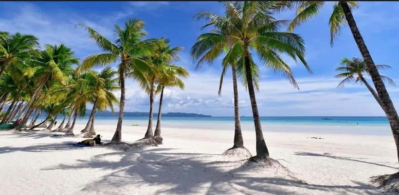 Bohol: Dolphin Watching & Sea Turtle Swim Island Tour - Who This Tour Fits Best in Bohol