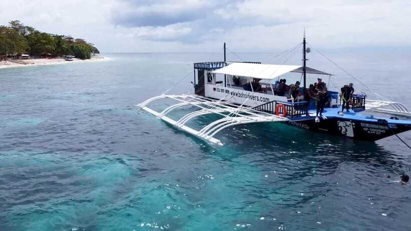 Bohol: Dolphin Watching & Snorkeling at Balicasag Island - Shared vs private boat tours: value, crowd level, and comfort