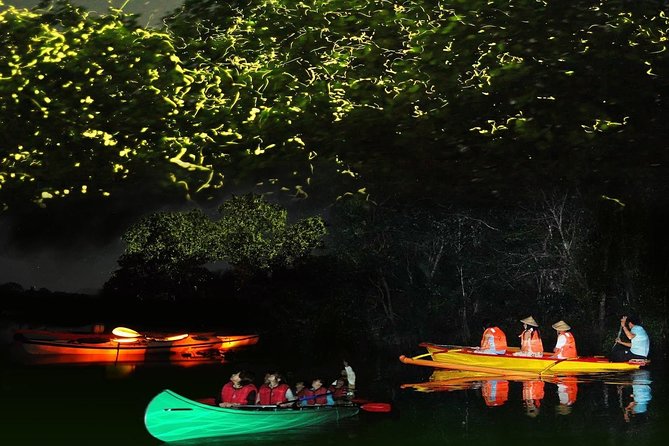 Bohol Firefly Watching (Private) - Key highlights at a glance