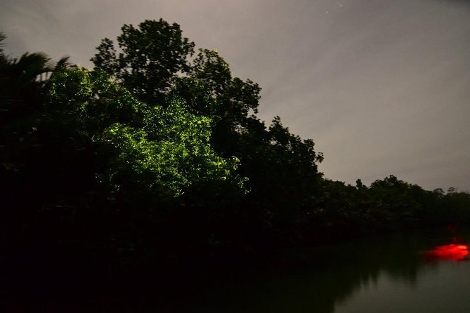 Bohol Firefly Watching (Private) - Pickup, timing, and how to avoid a late-night stress spiral