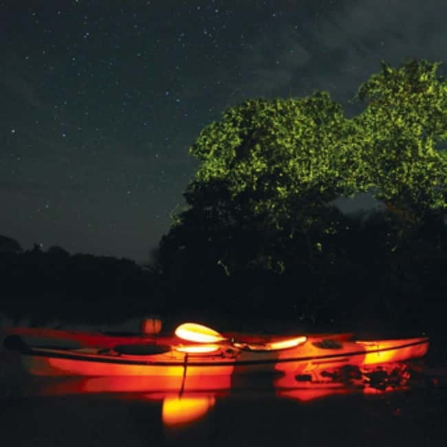 Bohol: Firefly Watching Shared Tour - The Loboc segment: 2 hours of guided time on the water