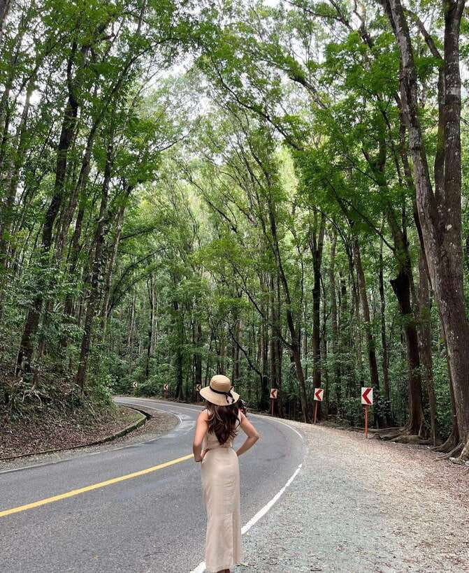 Bohol: Guided Chocolate Hills & Tarsiers Tour - Man-Made Forest: The Mahogany Tunnel Stop That’s Actually Worth Getting Out For