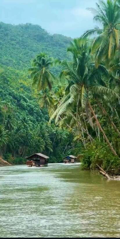 Bohol: Guided Chocolate Hills & Tarsiers Tour - Price and Value: What $37 Buys, and What You May Add