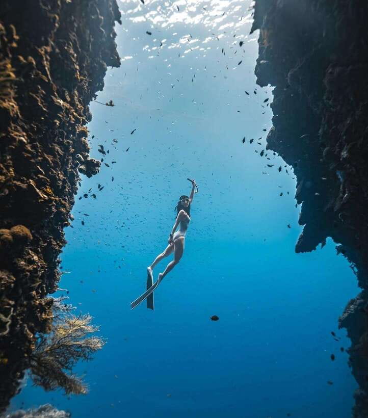 Bohol: Guided Sardine Reef Snorkeling Experience - What the sardine reef tour feels like once you are in the water