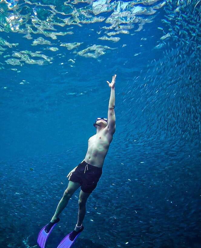 Bohol: Guided Sardine Reef Snorkeling Experience - Price and value: does $38 make sense for what you get?