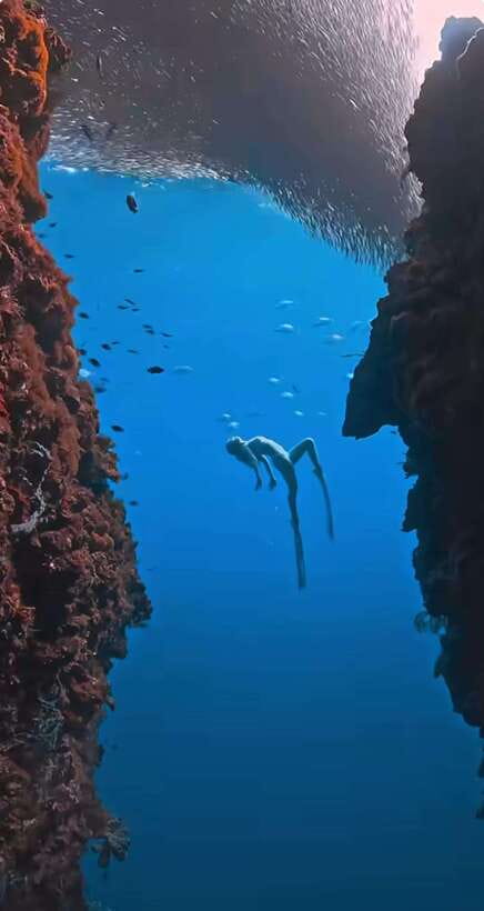 Bohol: Guided Sardine Reef Snorkeling Experience - Pickup, timing, and the real meaning of the Panglao pickup zone