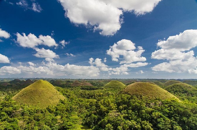 Bohol Highlights Tour: Chocolate Hills, Tarsier Spotting and Loboc River Cruise - Chocolate Hills Natural Monument in Carmen: viewpoints you can actually enjoy