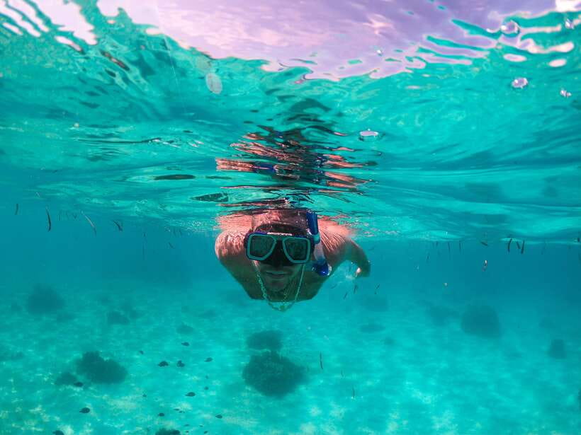 Bohol: Pamilacan Island Dolphin/Turtle Watching Tour & Lunch - Key highlights at a glance