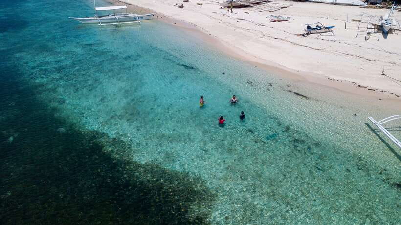 Bohol: Pamilacan Island Dolphin/Turtle Watching Tour & Lunch - Who should book this tour, and who should skip it