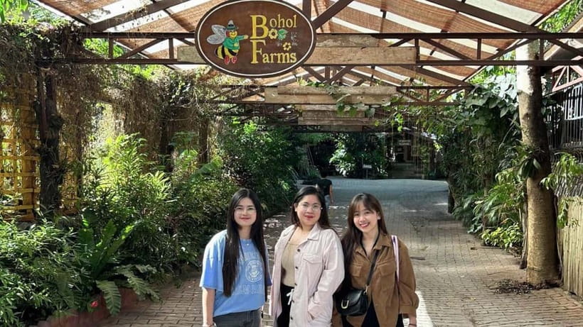 Bohol Panglao Adventure: Secret Beach, Cave Exploration - Mangroves and the Panglao Boardwalk: quiet walking that balances the day