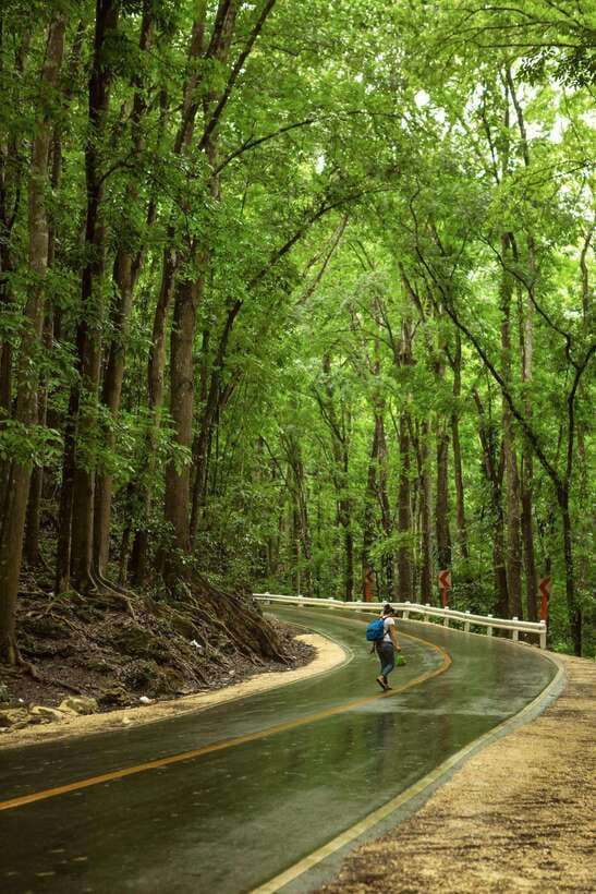 Bohol: Premium Chocolate Hills, Tarsiers & River Experience - What You Actually Get for a Premium Bohol Day
