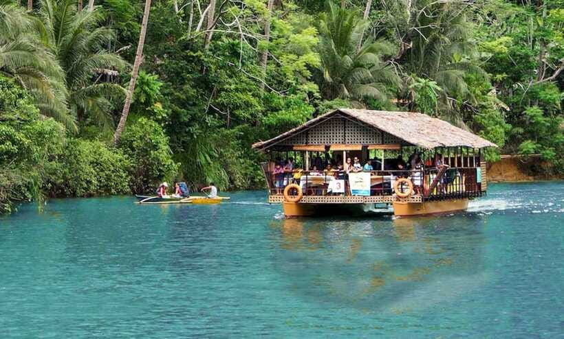 Bohol: Premium Chocolate Hills, Tarsiers & River Experience - The Man-Made Forest Stop: A Breather Between Big Sights