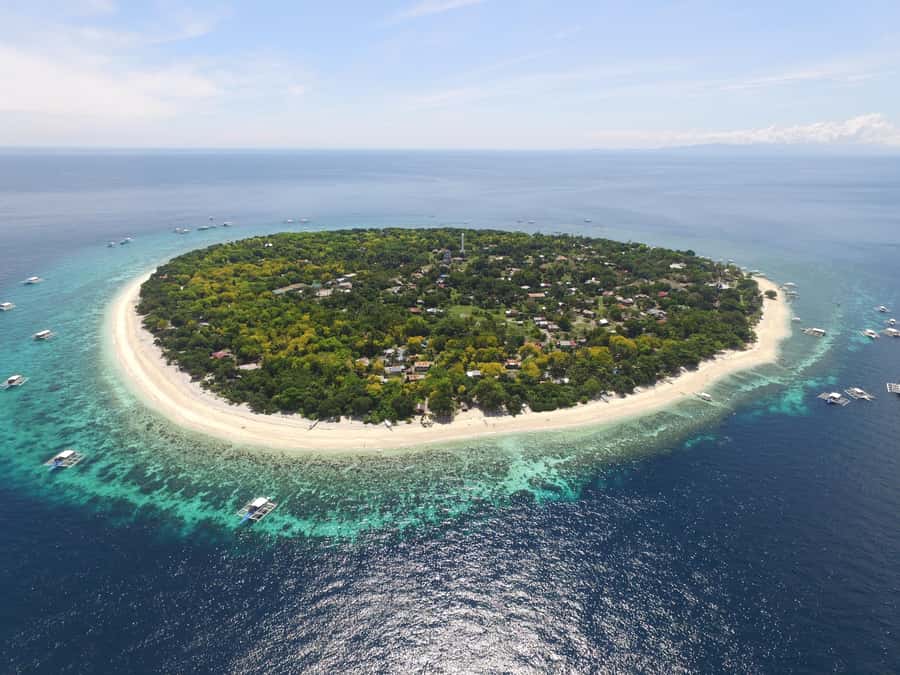 Bohol: Private Balicasag Tour with extra snorkeling time - Balicasag at dawn: why the start time matters
