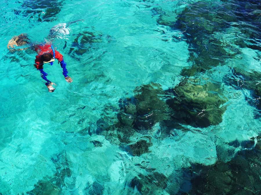 Bohol: Private Balicasag Tour with extra snorkeling time - What’s included on board, and what to expect for food