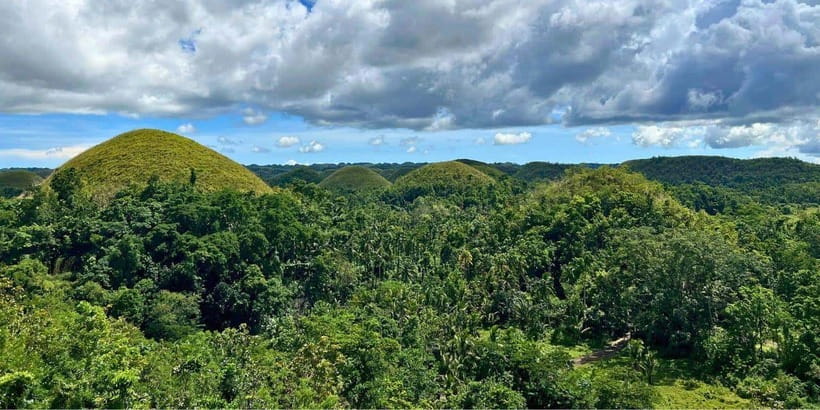 Bohol Private Tour: Chocolate Hills, Tarsiers & Loboc River - Tarsier Sanctuary: Tiny Wildlife, Big Rules