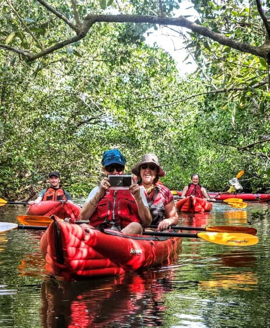 Bohol: SUSTAINABLE Mangrove Tunnels & Firefly Kayaking trail - Abatan River mangrove tunnels and why kayaking feels more real