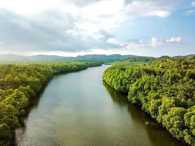 Bohol Tour Package: 3-Day Paradise Adventure - Who this Bohol tour package suits best