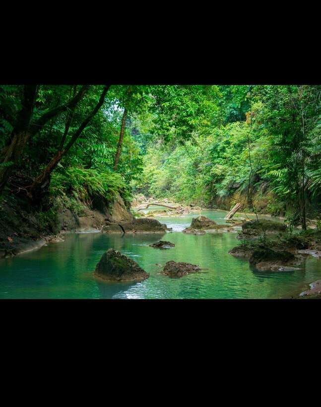 Bohol: Waterfall Hopping & Secret Jungle Trails Guided Tour - Guides make the day: English help, photo support, and local knowledge