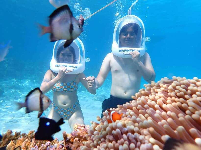 Boracay: Aquanaut Adventure with Photos and Videos - What You’ll Actually See: Marine Life and Coral, Without the Guesswork