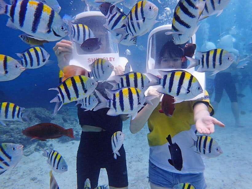 Boracay: Aquanaut Adventure with Photos and Videos - The 15-minute Aquanaut Adventure: What You Do Underwater