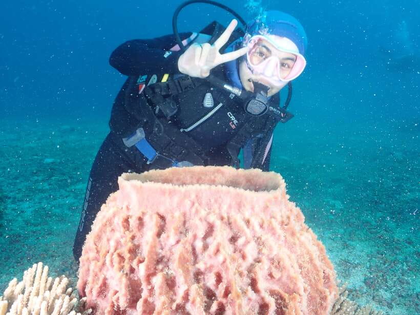 Boracay: Introduction to Scuba Diving Experience - Quick hits before you book