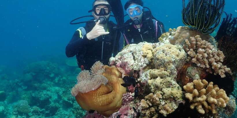 Boracay: Introduction to Scuba Diving Experience - Your guided open-water experience: depth, time, and what you might see