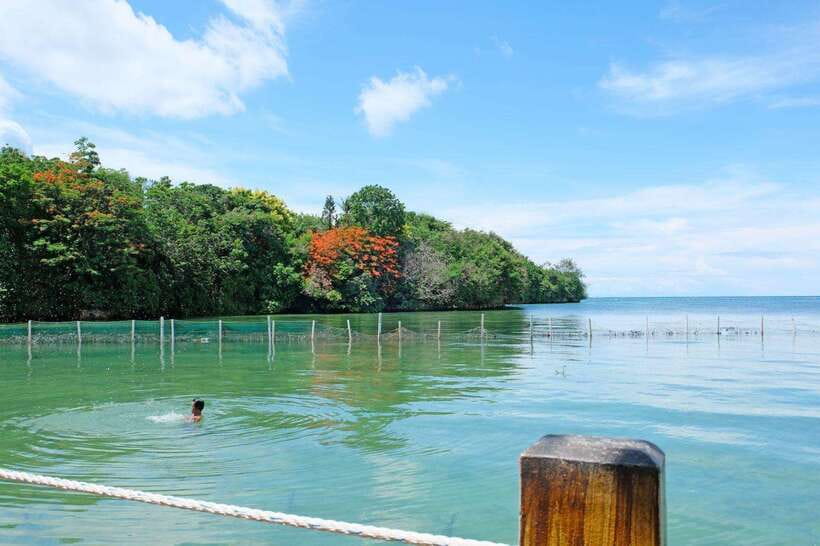 Boracay Private Land Tour - Private group logistics: what you gain, what you give up