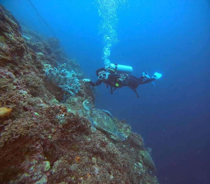 Cebu: Beach Scuba Diving Experience - Surface Skills, Shallow-Water Practice, and Real Beginner Confidence