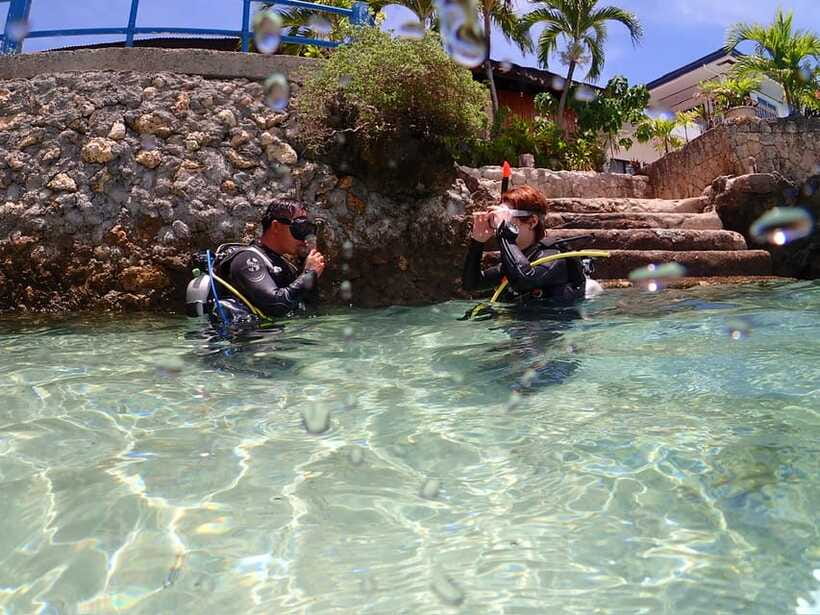 Cebu: Beach Scuba Diving Experience - Who This Cebu Scuba Experience Is Best For