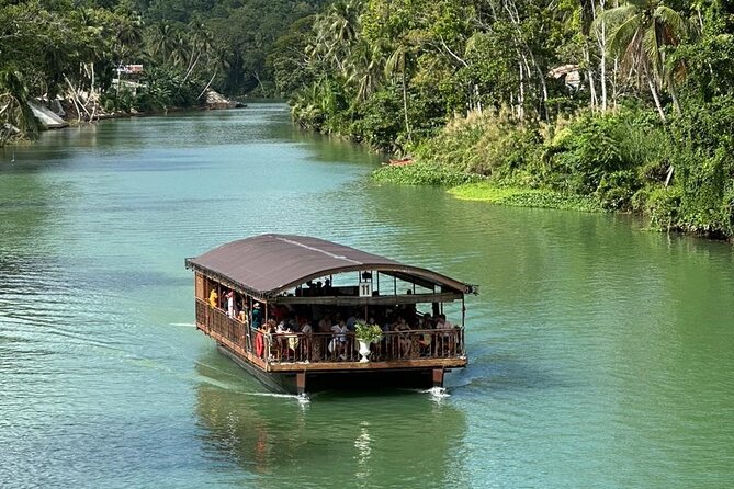 Cebu-Bohol Day Tour + Ferry Tickets - Philippine Tarsier and Wildlife Sanctuary: Small Eyes, One Focus Stop