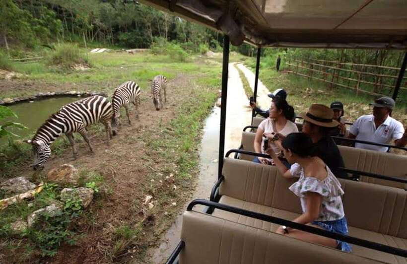 Cebu:Cebu Safari Adventure Park Day Trip - Tiger and Bird Sessions: Photo Tips and Timing Sense