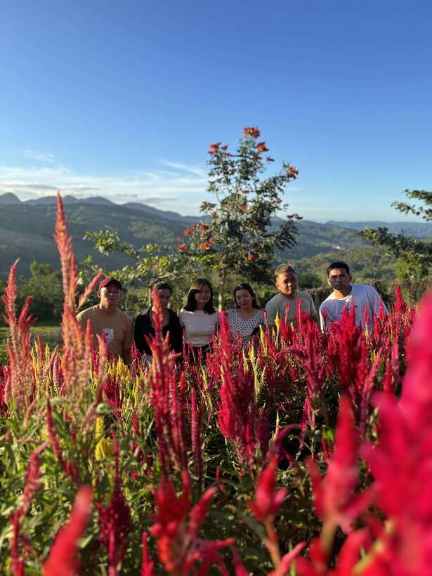 Cebu: City Highlights with Sirao Flower Garden Visit - Sirao Flower Garden: Your Color Stop (and Photo Time)