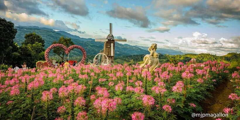 Cebu City: Historical, Local Cuisine & Mountain Guided Tour - Price and value: what 81 dollars buys in a short Cebu day