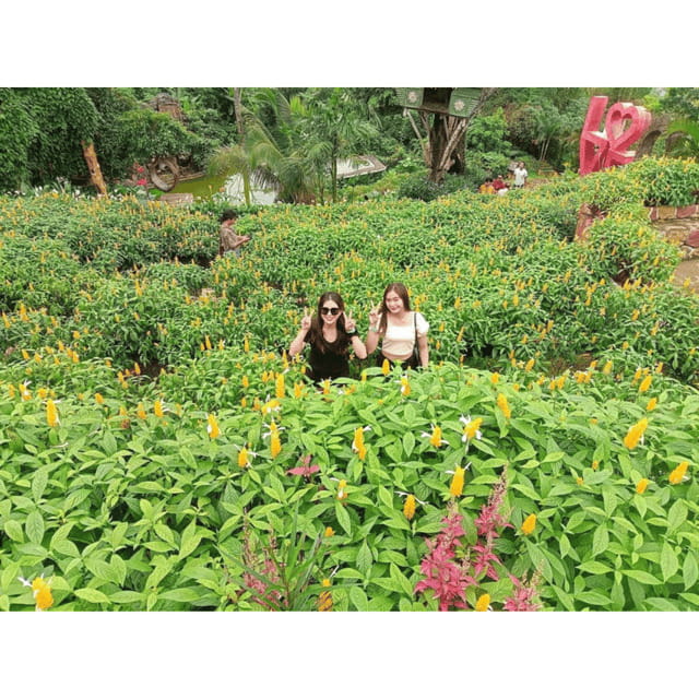 CEBU: City + Mountain Tour - Sirao Flower Garden: Why People Call It Little Amsterdam