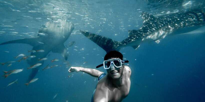 Cebu City: Whale Shark Swimming & Kawasan Falls Canyoneering - Badian canyoneering: jumps up to about 30 feet, plus safety support