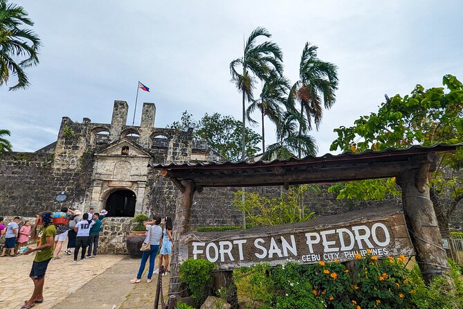 Cebu City with Sirao Garden Half Day Tour - Pickup timing, van comfort, and how the day feels