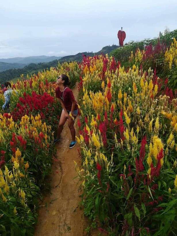 Cebu Highlands: Half-Day Escape with Optional Lunch - Temple of Leah, Roman-inspired sculptures and Cebu city views