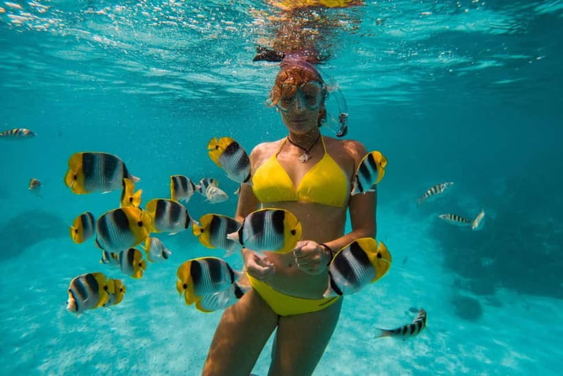 Cebu: Island Hopping 3 Islands + San Vicente Fish + Lunch - Key takeaways before you go