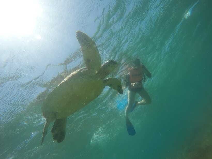 Cebu: Kawasan Canyoneering & Sardines Run and Turtle Chase - Kawasan canyoneering: slides, jumps, and the guide support you’ll be glad for