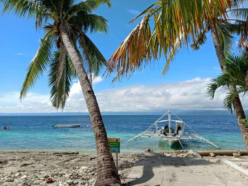 Cebu: Kawasan Canyoning, Moalboal Snorkeling, & Turtles Tour - Guides and safety: the real reason people rate this so high