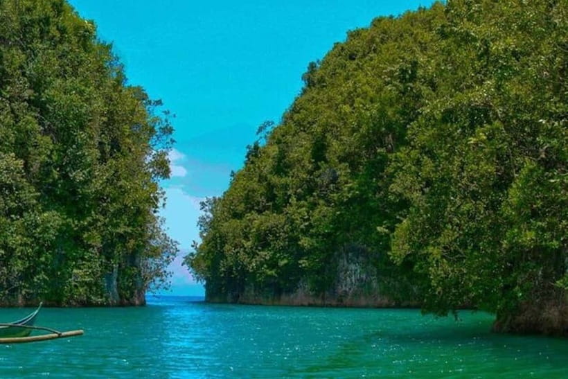 Cebu: Mantayupan Falls, Hermit's Cove & Bojo River Eco Tour - A full day of waterfalls, a beach cove, and a mangrove river cruise