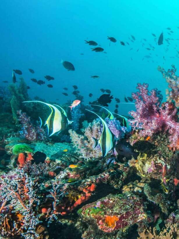 Cebu: Moalboal Island Hopping and Mantayupan Falls Day Trip - Gear and practical tips that can save your day