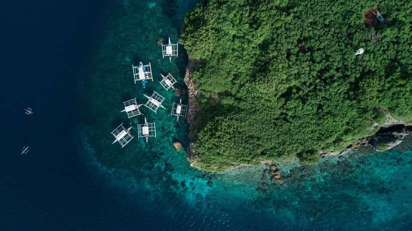 Cebu: Moalboal Sardines and Turtles Snorkeling Tour - Weather, Visibility, and Why Your Day Might Shift