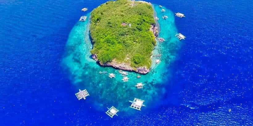 Cebu: Moalboal Sardines and Turtles Snorkeling Tour - Who Should Book This Tour, and Who Should Skip It