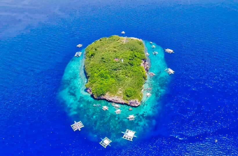 Cebu: Moalboal Sardines and Turtles Snorkeling Tour - Pescador Island: The Sardine Run Swim That Sets the Tone