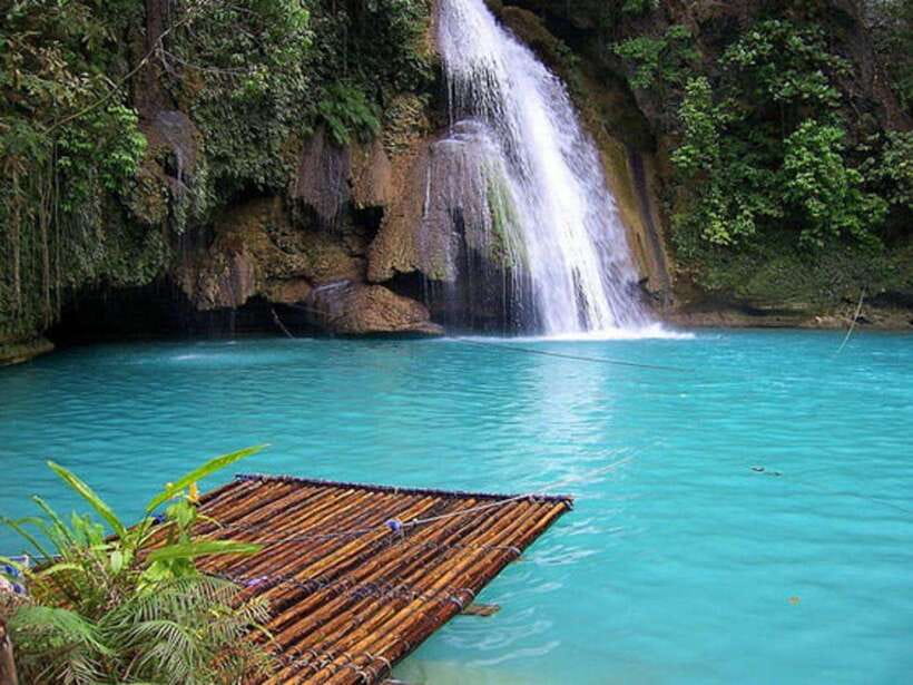 Cebu: Moalboal Sardines Run Snorkel & Kawasan Canyoneering - Guides and photos: where the experience gets made