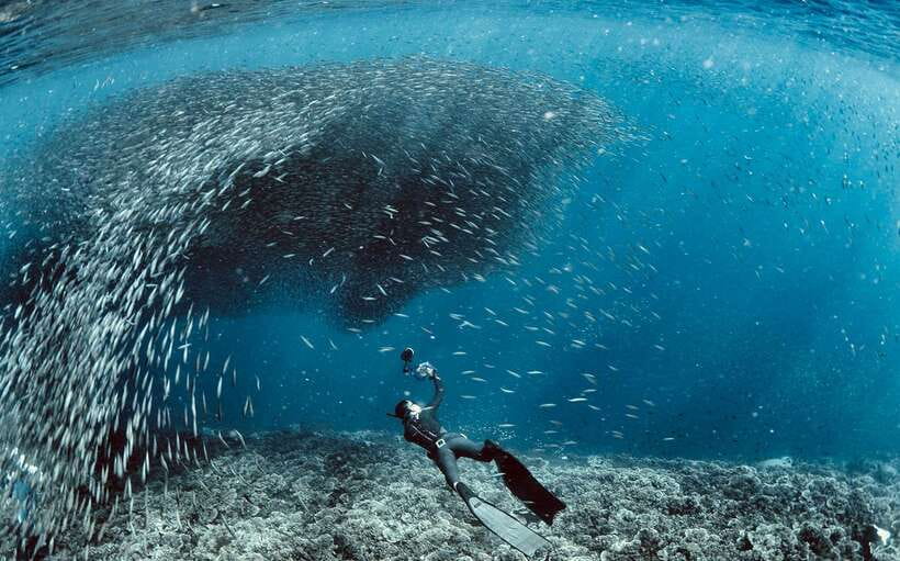 Cebu: Moalboal Sardines & Turtle Snorkeling and Canyoneering - Key things that make this tour worth your time